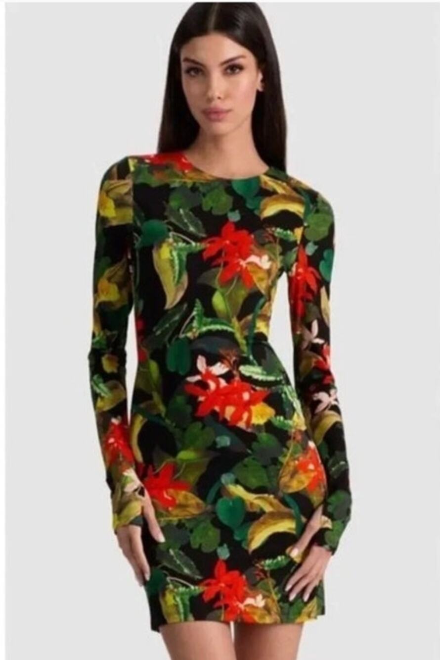 ALICE + OLIVIA Sz 4 Delora Long Sleeve Mini Dress